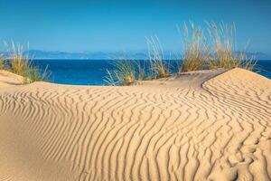 Dune of Punta Paloma, Tarifa, Andalusia, Spain photo