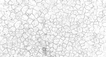 a black and white image of a cracked wall, cracked white paint on a white background, a black and white drawing of a cracked wall, background with cracks vector