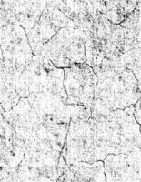 a black and white texture on a white background, wall crack texture with a black and white grunge effect, a black and white grunge of a pattern, a white and black texture with a lot of small dots vector