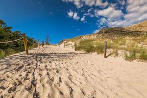 Desert landscape, Slowinski National Park near Leba, Poland photo