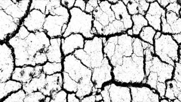 two different images of cracked and dry land ground, cracked white paint on a white background, a black and white drawing of a cracked wall set, a black and white image of a cracked wall vector