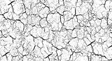 a black and white image of a cracked wall, cracked white paint on a white background, a black and white drawing of a cracked wall, background with cracks vector