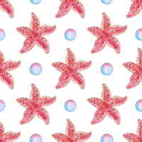 Watercolor illustration pattern pink starfish and bubbles. Seamless repeating marine life print. Inhabitants of the ocean floor. Isolated. hand-drawn. png