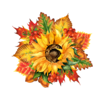 Watercolor illustration of an autumn bouquet of sunflower and leaves of oak, maple, elm, birch, rowan berries and acorns. Harvest Festival, Thanksgiving Day. Isolated. hand-drawn. png