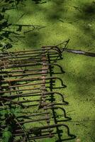 Rusty grate in stagnant water photo