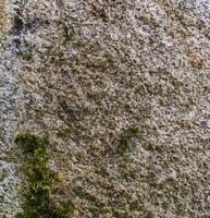 Stone Surface texture photo