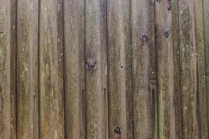 weathered wood fence photo