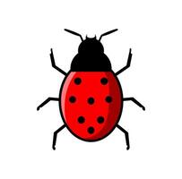 Bug Insect Design Illustration vector