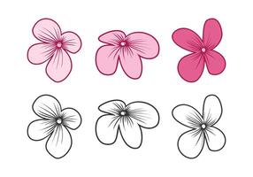 Hydrangea Flower Design Illustration vector
