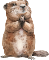 mignonne marmotte chuchotement vœux png