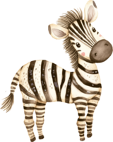 schattig zebra in kaart brengen sterren png