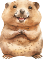 schattig quokka glimlachen Bij de zon waterverf png