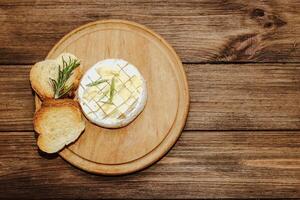 White baguette cut into pieces with olive oil and Camembert cheese on the table. photo