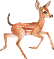 Cute Impala Sprinting with Spirits watercolor png