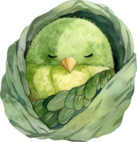 Cute Kakapo Unfolding Night watercolor png