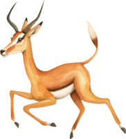 Cute Impala Leaping Over Shadow png