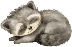 Cute Binturong Dreaming of Stars watercolor png