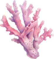 cinta coral acuarela png