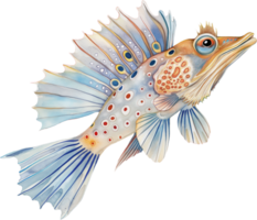 Flying Gurnard watercolor png