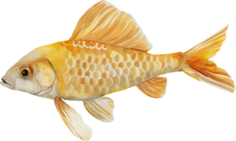 Sargassum Fisch Aquarell png