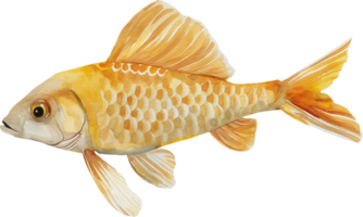 sargasses poisson aquarelle png