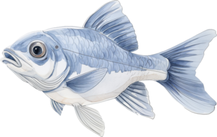 Icefish watercolor isolated png