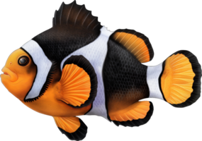 yellowtail clown vis waterverf png