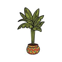 isolate houseplants on background vector