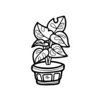 isolate black and white houseplants on background vector