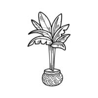 isolate black and white houseplants on background vector