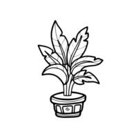 isolate black and white houseplants on background vector