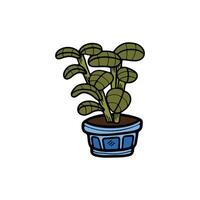 isolate houseplants on background vector