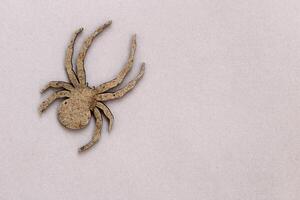 Wooden spider toy on a gray background, Halloween concept photo