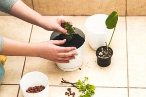 The girl is replanting homemade green pots. photo