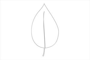 Continuous one line drawing of Leaf outline art illustration isolated on white background vector