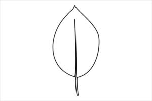 Continuous one line drawing of Leaf outline art illustration isolated on white background vector