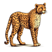 isolated cheetah cartoon illustration png