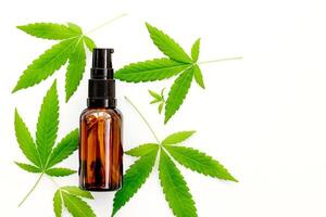 Marijuana leaves and a bottle on a white background, cannabis cosmetic oil photo