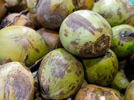 Pile of fresh green coconuts. photo