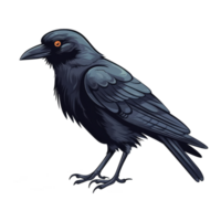 isolated crow cartoon illustration transparent background png
