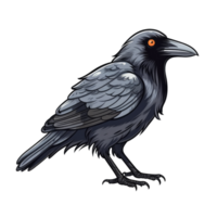 isolated crow cartoon illustration transparent background png