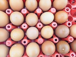 A Tray of Fresh Farm Eggs photo