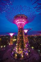 luces en jardines por el bahía en Singapur. foto