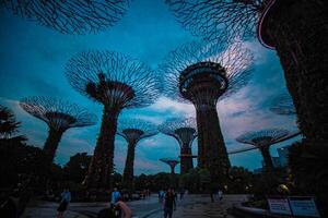 Lights in Gardens by the Bay in Singapore. photo