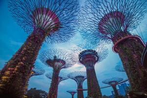 luces en jardines por el bahía en Singapur. foto