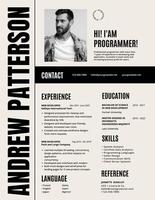 Programmer resume template design ideas