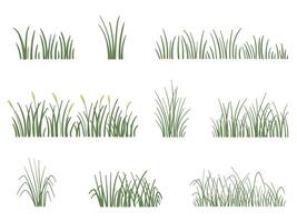 Hand drawn grass field. organic element vector