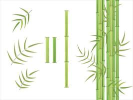 Green bamboo and leaves element set vector