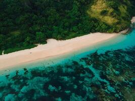 Tropical beach with cliffs and ocean in Bali island. Aerial view of vacation beach photo