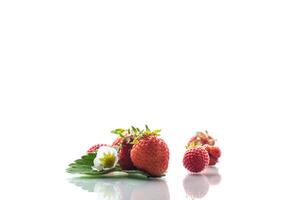 red ripe strawberry spring on a white background photo